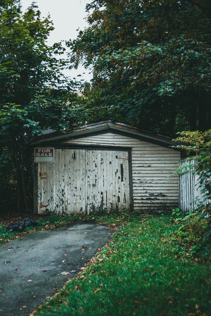 Old wooden garage with 'For Sale' sign surrounded by overgrown greenery.